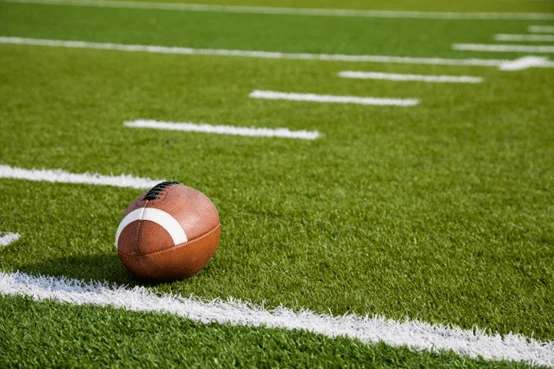 Synthetic Grass Synthetic Grass