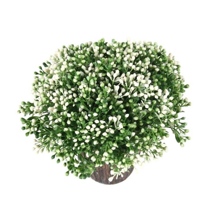 Eco-friendly Green Plant Bonsai