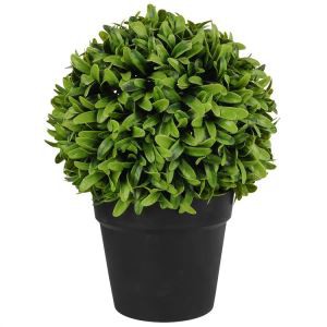 Bonsai Tree For Home Decoration Weddding Decoration