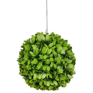 Boxwood Double Ball Topiary Plant For Garden Pond Swimming Pool