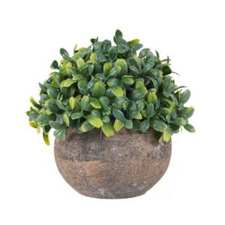 PE Artificial Green Plant Bonsai