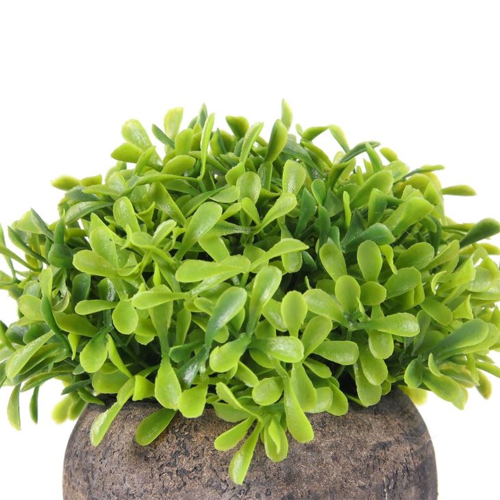Artificial Grass Boxwood Plant Bonsai For Desk Decoration