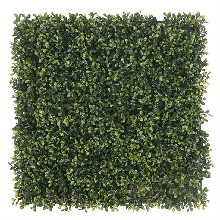Boxwood Grass Wall Sale Artificial Mats Hedge